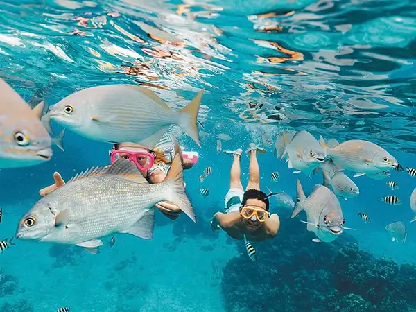 Couple snorkelling on an RCI shire excursion