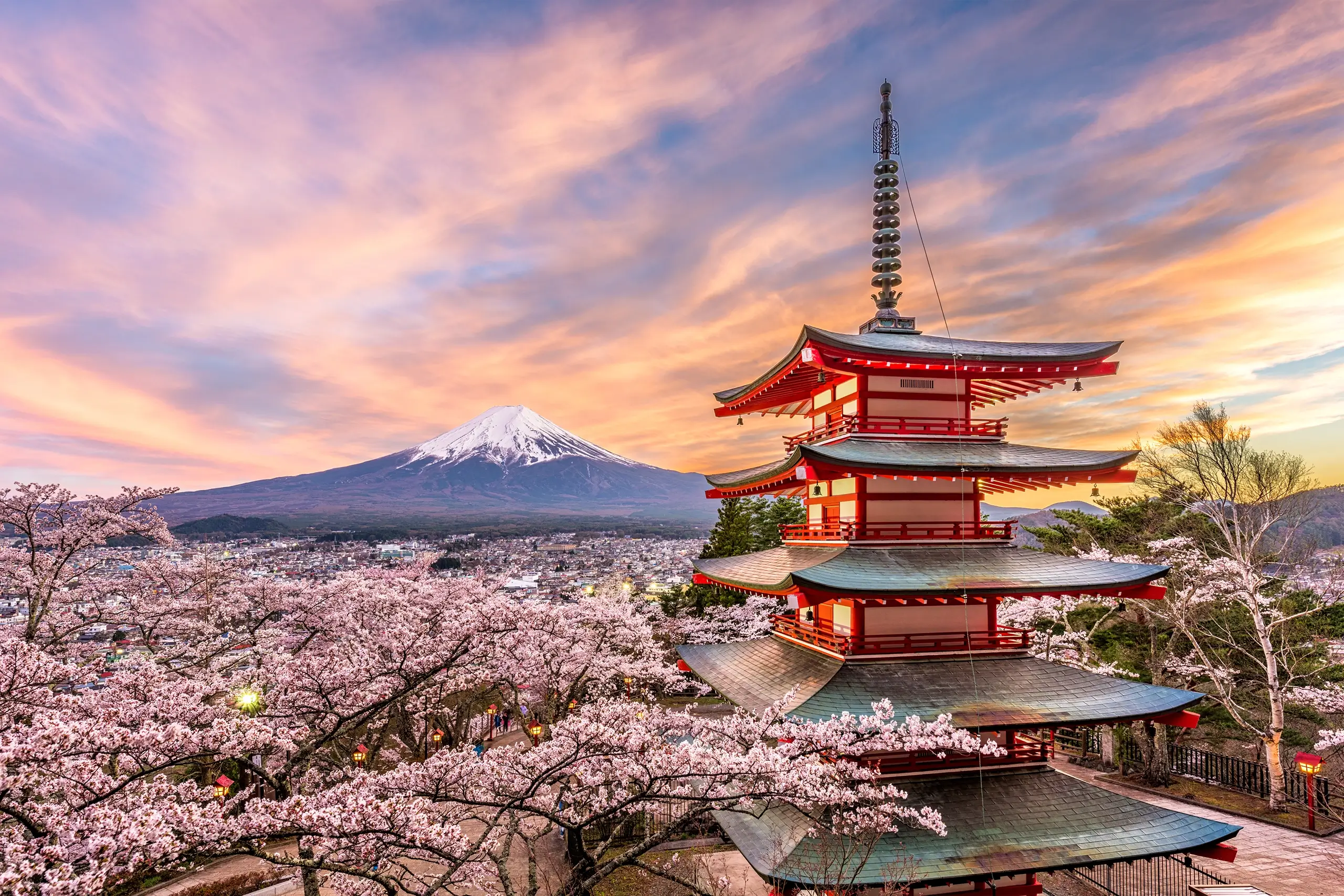 Cherry blossom season in Japan
