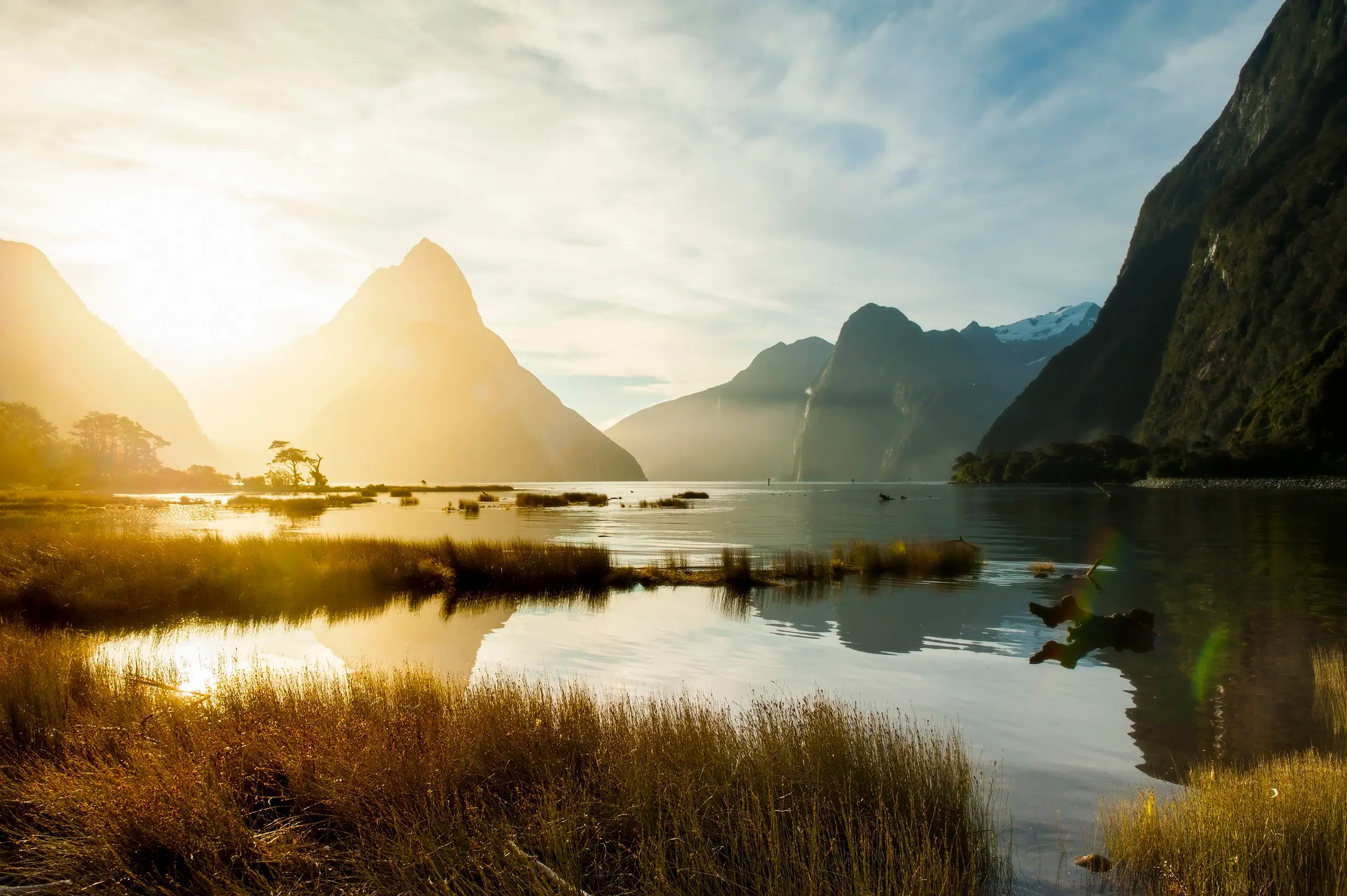 The beautiful Milford Sound in New Zealand