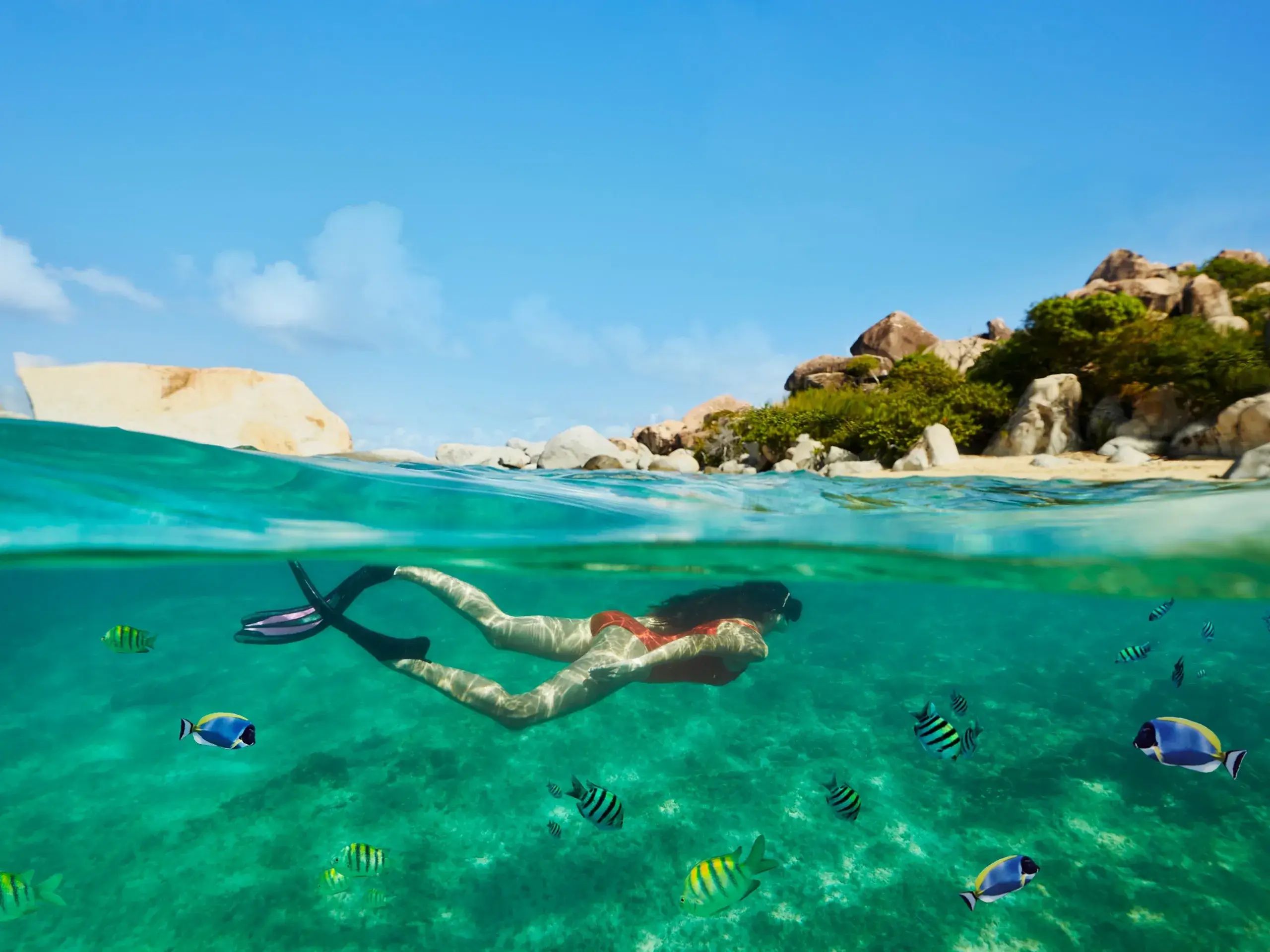 Snorkelling in Tortolla