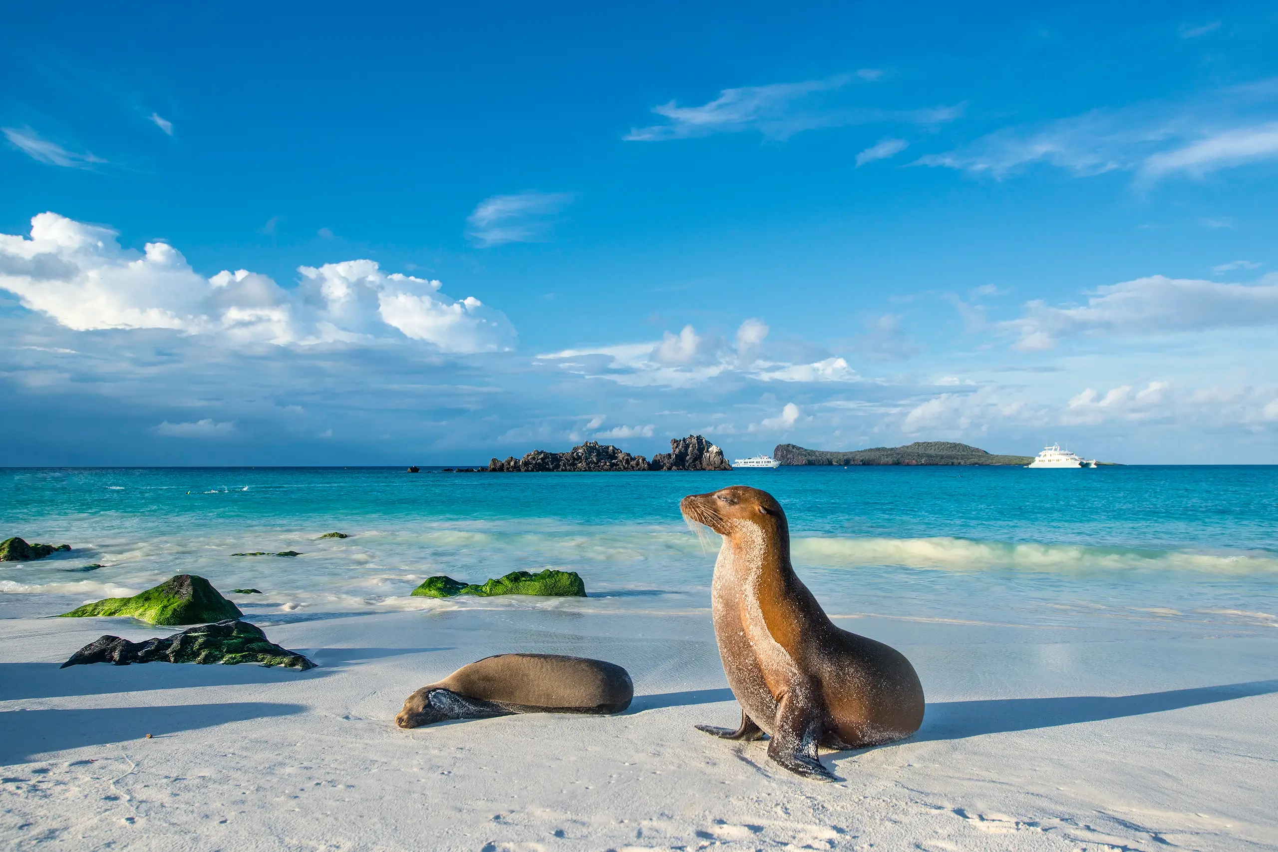 GAlapogus Islands